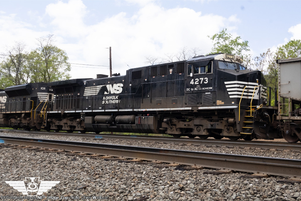 NS 4273